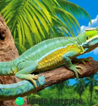Colaje vibrante de diez reptiles en sus hábitats