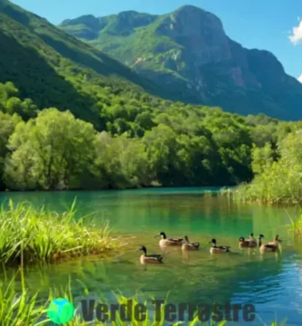 Lago de agua dulce rodeado de vegetación