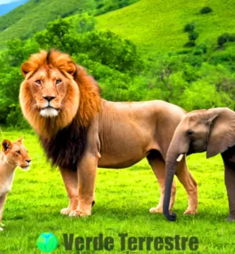 Ilustración de 18 animales cuadrúpedos en un paisaje natural vibrante