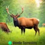 Ilustración de varios animales con cuernos en un bosque verde