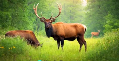 Ilustración de varios animales con cuernos en un bosque verde