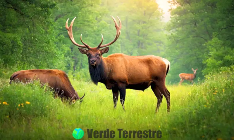 Ilustración de varios animales con cuernos en un bosque verde