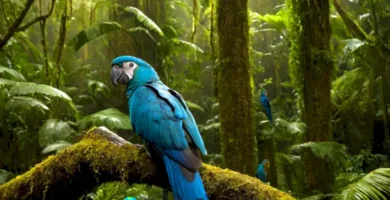 Colección de aves exóticas de plumaje colorido en una selva