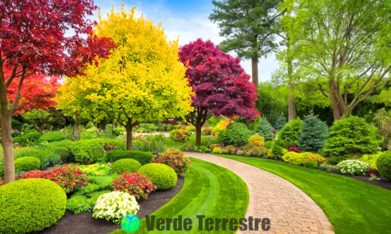 Jardín paisajístico con 20 árboles ornamentales de diversos tipos