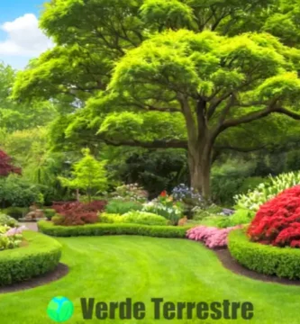 Ilustración de un jardín colorido con 11 pequeños árboles