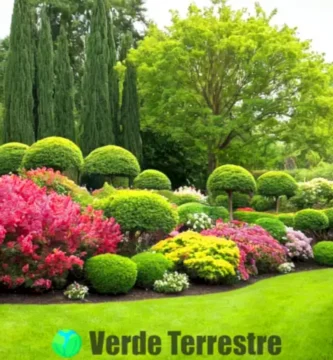 Jardín vibrante con 21 arbustos en flor