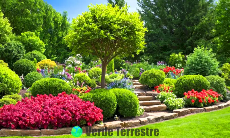 Jardín vibrante con 11 arbustos etiquetados, flores coloridas, herramientas de jardinería y un pequeño estanque bajo un cielo azul