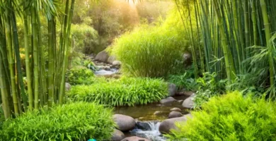 Jardín encantador con diversas especies de bambú y un arroyo sereno bajo la luz suave del sol