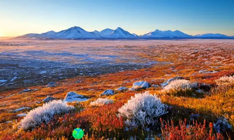 Vista de una tundra con reindeer, buho nival y zorro ártico, bajo un cielo azul y vegetación como líquenes y musgos