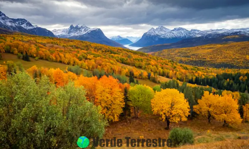 Paisaje realista de un clima continental con colinas, bosques, praderas, hojas de otoño, flores de primavera y montañas nevadas bajo un cielo dramático