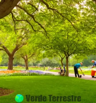 Grupo diverso de personas cuida un árbol en un entorno natural con flores