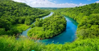 Río serpenteante con agua cristalina rodeado de vegetación exuberante y fauna diversa bajo un cielo azul