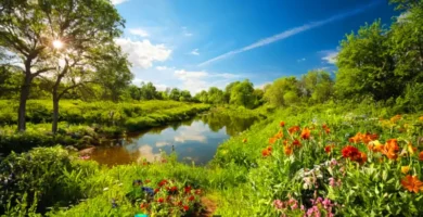 Grupo diverso de personas cuidando el medio ambiente en un paisaje vibrante y natural