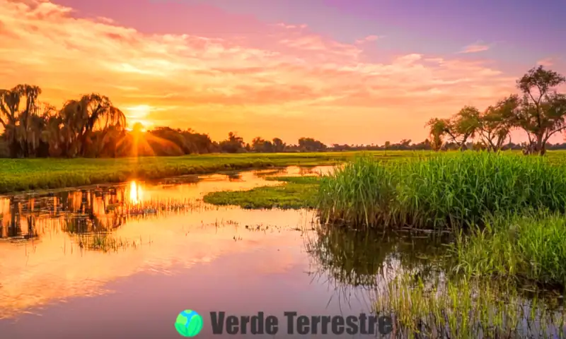 Delta al atardecer con ríos serpenteantes, humedales verdes, fauna y un cielo vibrante en tonos naranjas y púrpuras