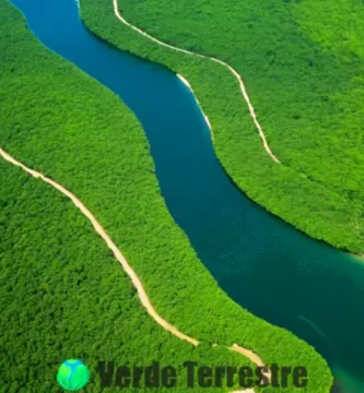 Delta fluvial visto desde arriba