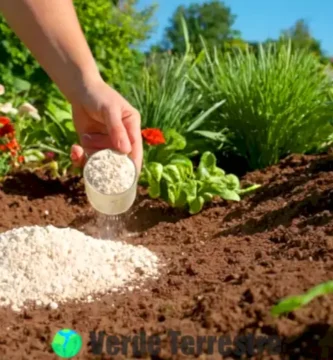 Partículas de tierra de diatomeas esparcidas sobre suelo verde con plantas vibrantes y una mano de jardinero en un día soleado