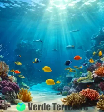 Ilustración artística de un ecosistema submarino vibrante con corales