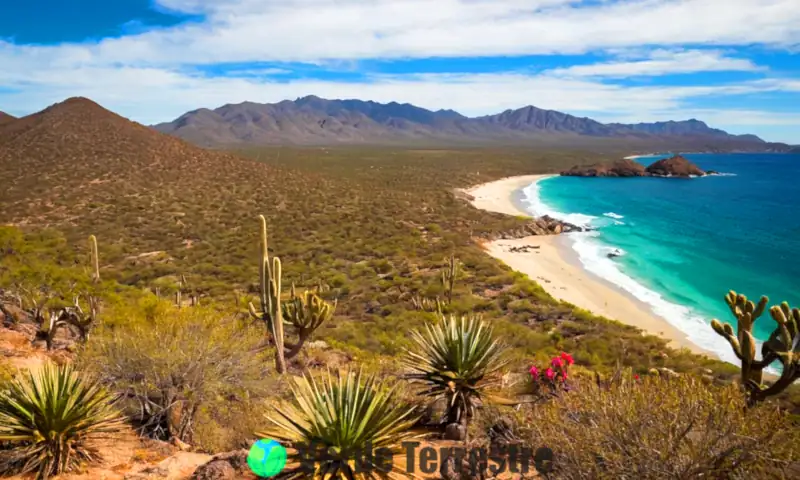 Representación artística de los ecosistemas de Baja California, mostrando desierto, costa, bosque y montañas con flora y fauna diversas