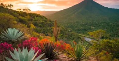 Collage de diversos ecosistemas mexicanos con flora y fauna nativa