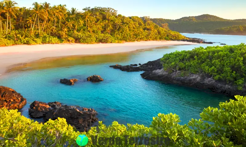 Imagen colorida de ecosistemas costeros que muestra playas de arena, costas rocosas, humedales y diversas especies de vida marina