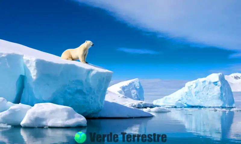 Ecosistema polar con fauna adaptada, incluyendo osos polares, focas y zorros árticos en un paisaje nevado con plantas de tundra