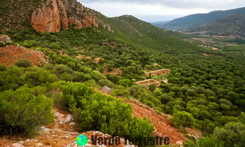 Paisaje vibrante de España que muestra diversidad ecológica con bosques, montañas y costas, habitado por linces ibéricos, flamencos y ranas verdes, con ruinas antiguas integradas