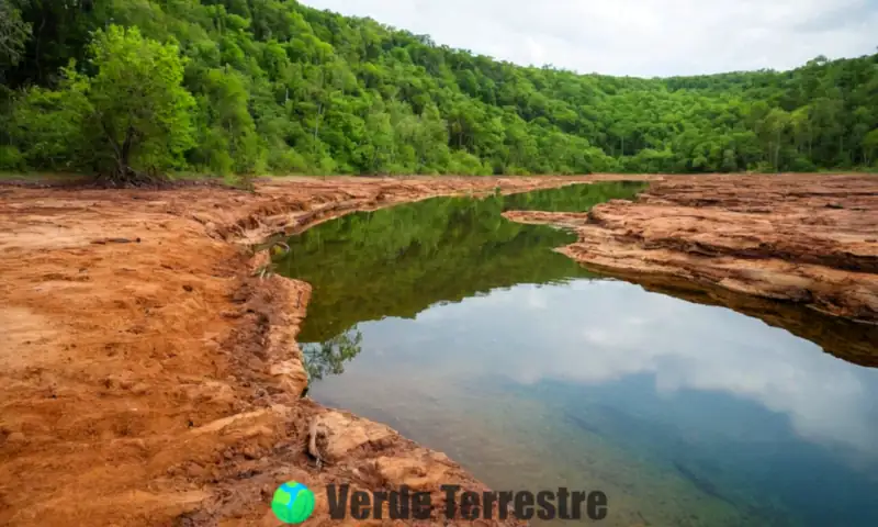 Paisaje dividido que muestra un lado con erosión y vegetación dañada, y el otro con un ecosistema saludable y naturaleza vibrante