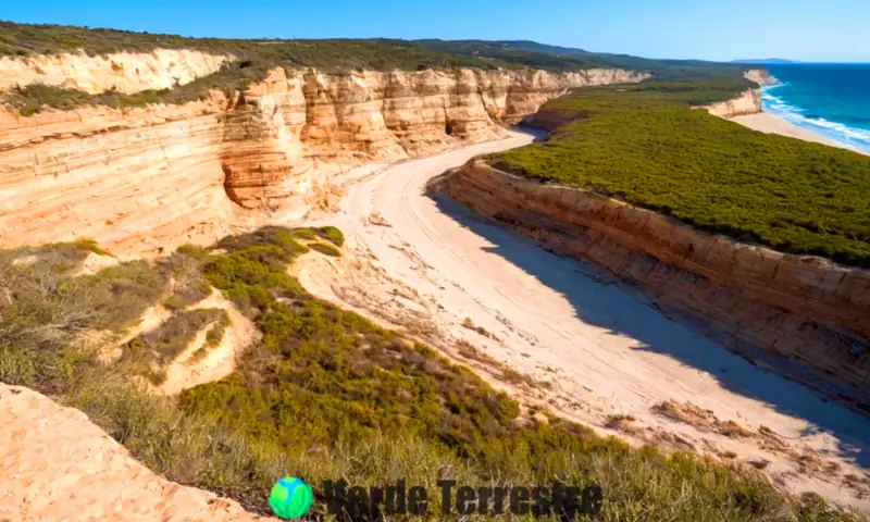 Paisaje costero con acantilados dramáticos, playas de arena y vegetación afectada por la erosión marina, donde investigadores estudian los impactos ambientales y económicos