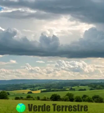 Paisaje sereno con nubes estratocúmulos