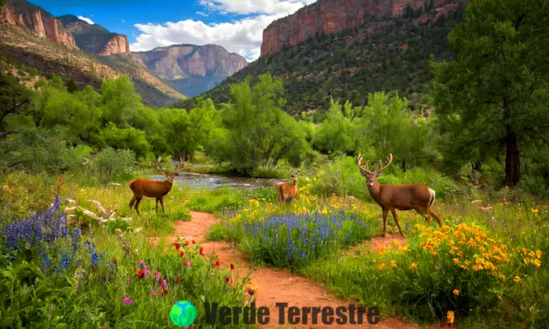 Paisaje biodiverso de Durango con plantas verdes, flores coloridas y fauna como ciervos y aves, iluminado por luz solar