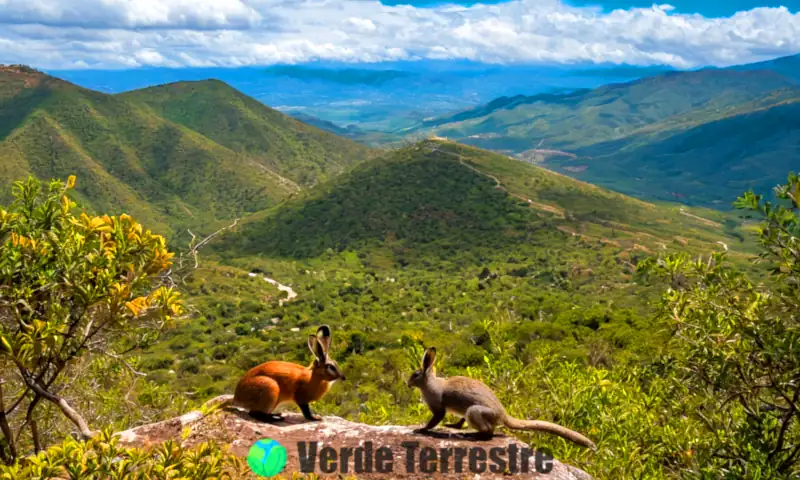 Escena vibrante de la fauna endémica de Puebla, con aves coloridas, mamíferos nativos y reptiles en un paisaje natural verde y montañoso bajo un cielo azul