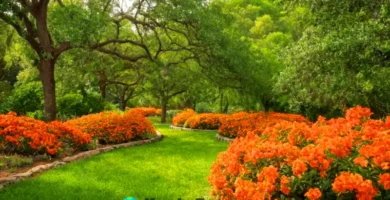 Ilustración de un jardín soleado con nueve flores naranjas y árboles en flor