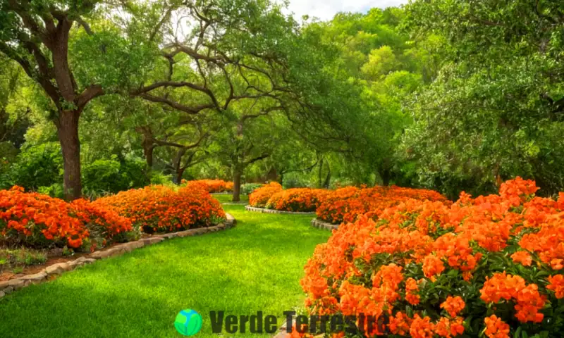 Ilustración de un jardín soleado con nueve flores naranjas y árboles en flor