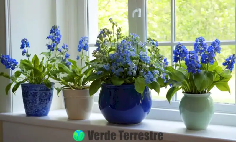 Ramo de diez flores azules en un acogedor alféizar, con luz natural y un ambiente cálido