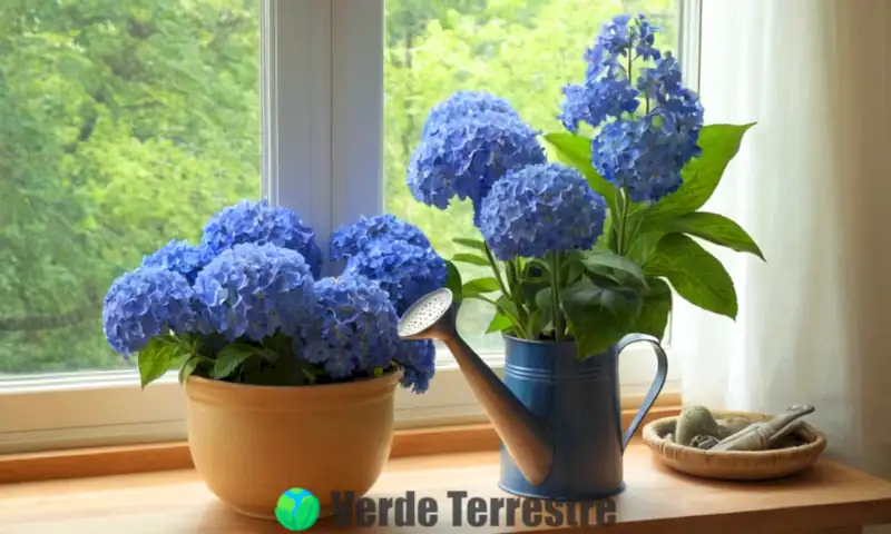 Ramo de 10 flores azules en un hogar acogedor, iluminadas por la luz del sol