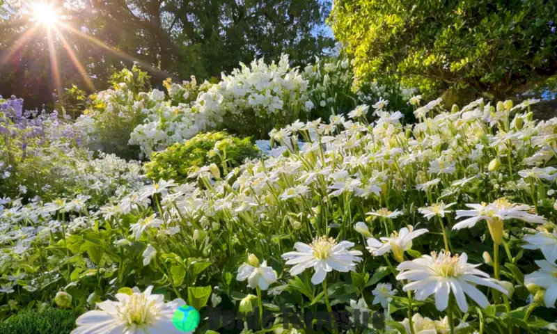 Jardín vibrante con 20 variedades de flores blancas en plena floración bajo un cielo azul