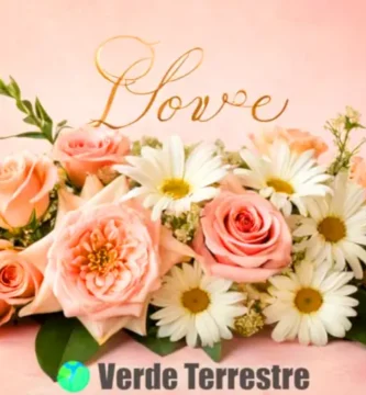Ramo de flores coloridas con rosas
