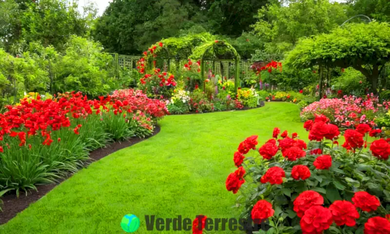 Jardín vibrante con 17 plantas de flores rojas en plena floración, decorado con un enrejado y un banco