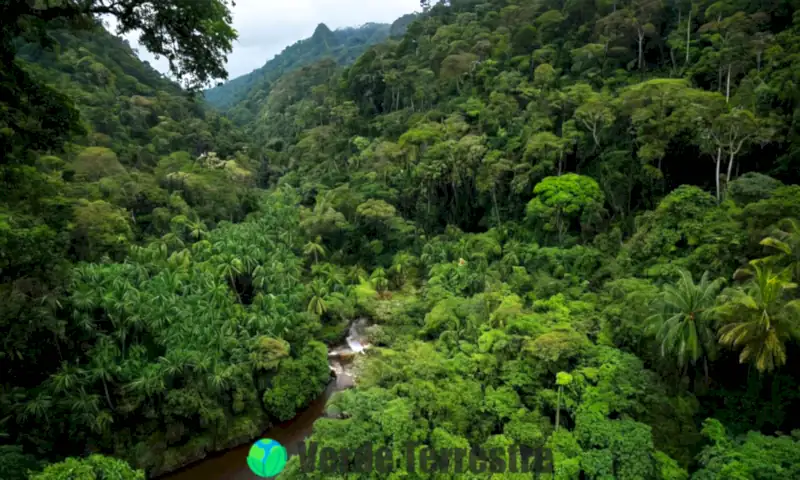 Flora tropical vibrante de Chiapas con plantas exóticas