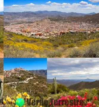 Collage vibrante de la flora y fauna de Guanajuato
