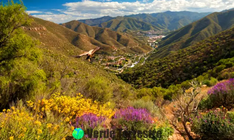 Paisaje vibrante de biodiversidad en Guanajuato, con flores coloridas, un águila dorada y jaguares en un entorno montañoso