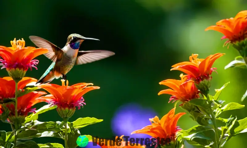 Jardín vibrante con diversas flores y un colibrí iridiscente bebiendo néctar bajo un cielo azul