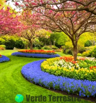 Jardín vibrante con 18 árboles en flor