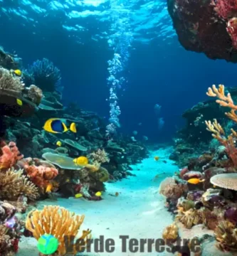 Escena submarina en la Fosa de Mariana con criaturas únicas
