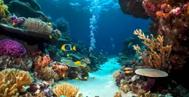 Escena submarina en la Fosa de Mariana con criaturas únicas