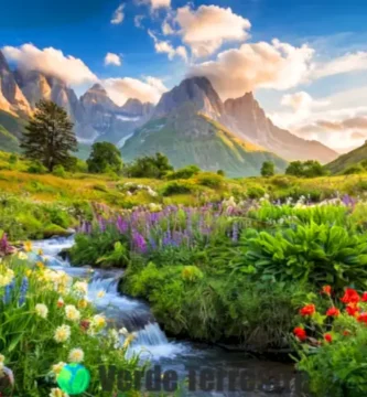 Paisaje sereno con plantas verdes