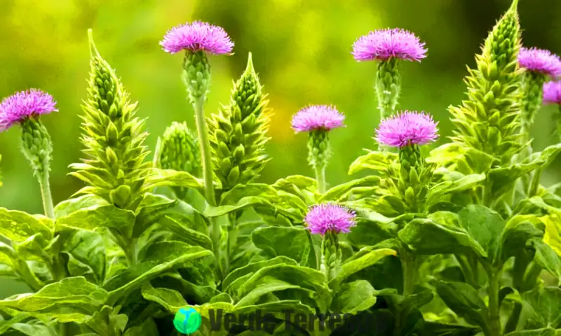 Primer plano de una planta con yemas en un jardín vibrante, rodeada de organismos como levaduras y hidras, representando la reproducción asexual