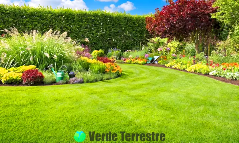 Escena de jardín vibrante con ocho tipos de césped, un jardinero feliz, herramientas de jardín y un cielo soleado