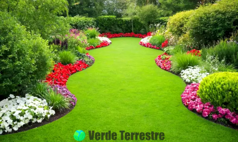 Variedad de hierbas y flores en un jardín soleado, mostrando distintos tipos de césped y elementos decorativos