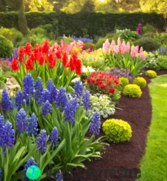 Jardín con flores de jacinto en pleno florecimiento y un jardinero cuidando las plantas bajo la luz cálida del sol